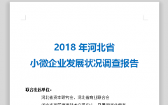 【调查报告】2018年河北省小微企业发展状况调查报告
